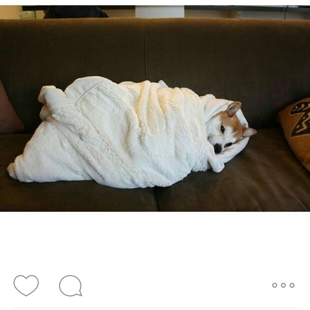 Meet your Posher, Arielle